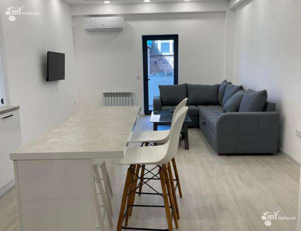 2-senyakanoc-bnakaran-vardzakalutyun-Yerevan-Arabkir