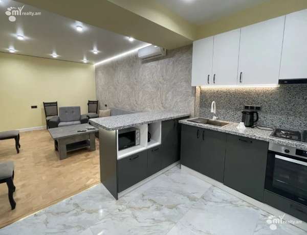 3-senyakanoc-bnakaran-vardzakalutyun-Yerevan-Center