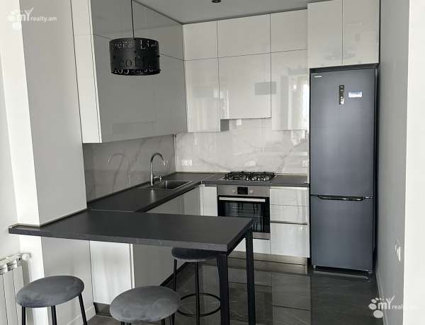 2-senyakanoc-bnakaran-vardzakalutyun-Yerevan-Ajapnyak