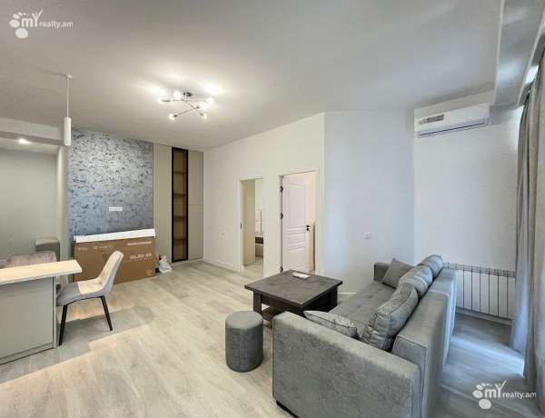 3-senyakanoc-bnakaran-vardzakalutyun-Yerevan-Ajapnyak