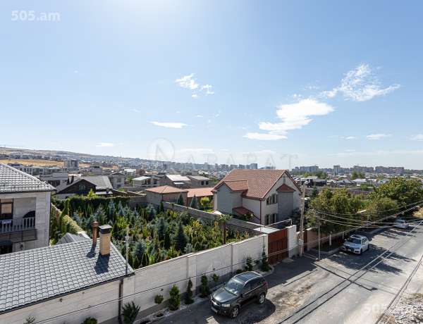 arandznatun-vacharq-Yerevan-Avan