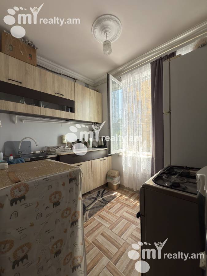 1 սենյականոց բնակարան  Լեփսիուսի   փող, Քանաքեռ-Զեյթուն Երևան, 157119