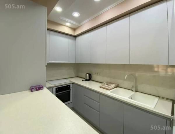 3-senyakanoc-bnakaran-vardzakalutyun-Yerevan-Center