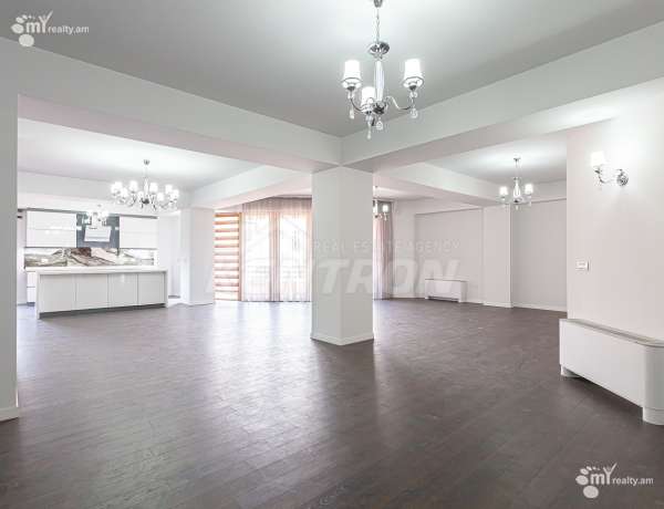 5-senyakanoc-bnakaran-vardzakalutyun-Yerevan-Center