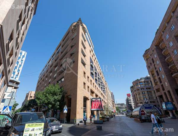 4-senyakanoc-bnakaran-vardzakalutyun-Yerevan-Center