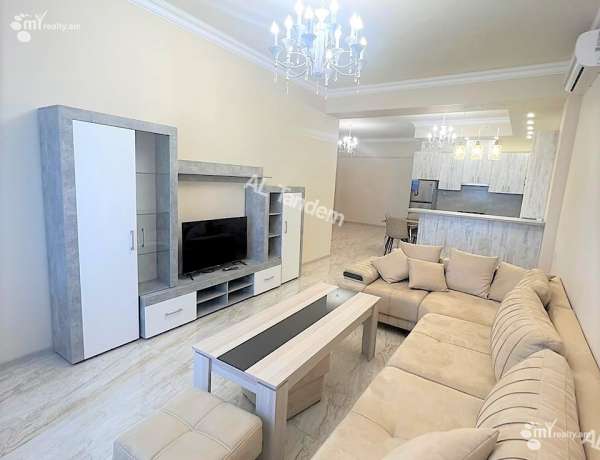 3-senyakanoc-bnakaran-vardzakalutyun-Yerevan-Nor-Nork