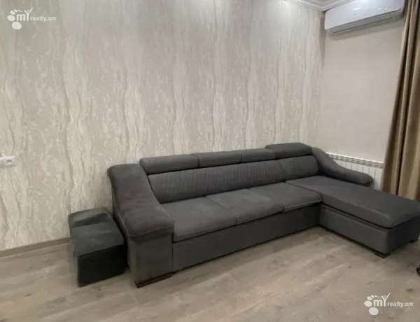 2-senyakanoc-bnakaran-vardzakalutyun-Yerevan-Davtashen