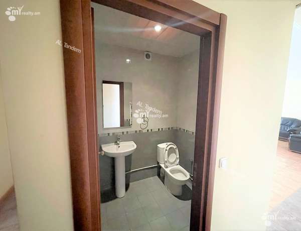 4-senyakanoc-bnakaran-vardzakalutyun-Yerevan-Arabkir
