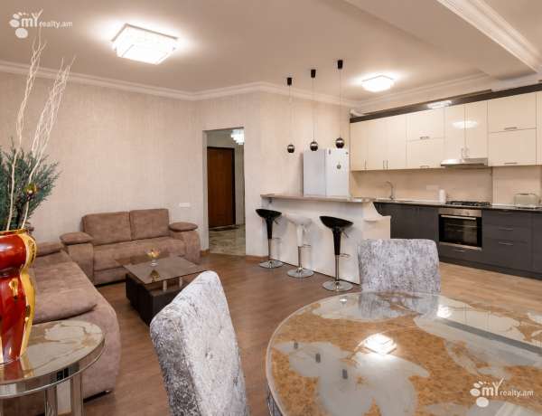 2-senyakanoc-bnakaran-vardzakalutyun-Yerevan-Arabkir