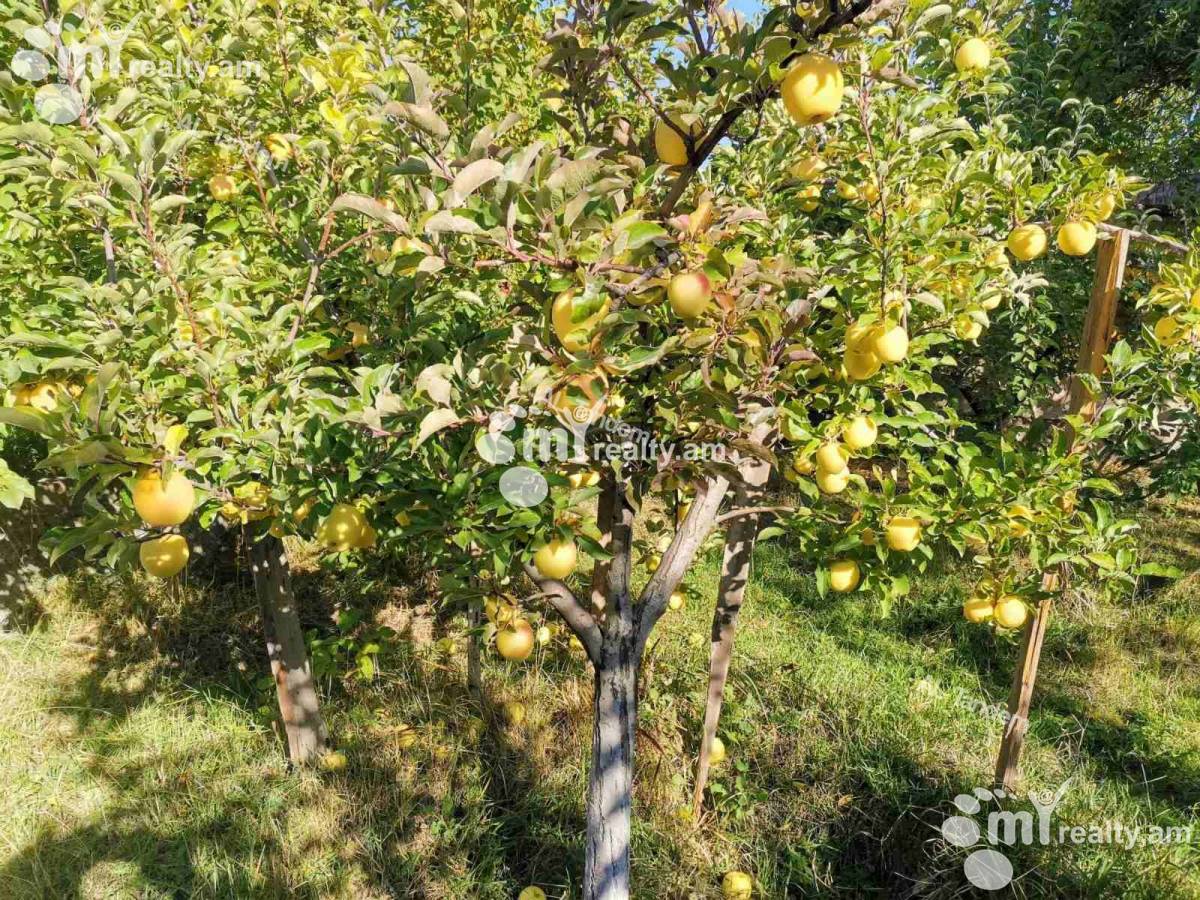 House for sale Village of Dzoraghbyur, Dzoraghbyur Kotaïque, 156055