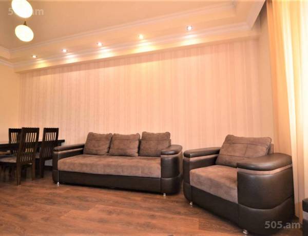 2-senyakanoc-bnakaran-vardzakalutyun-Yerevan-Center