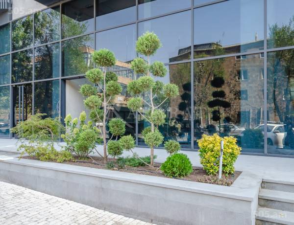 2-senyakanoc-bnakaran-vacharq-Yerevan-Arabkir