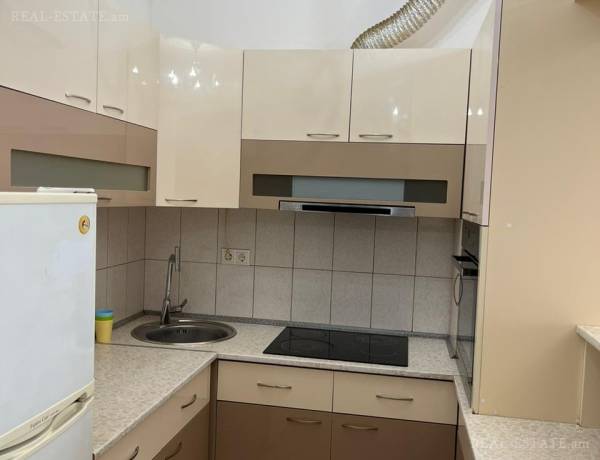 2-senyakanoc-bnakaran-vacharq-Yerevan-Arabkir
