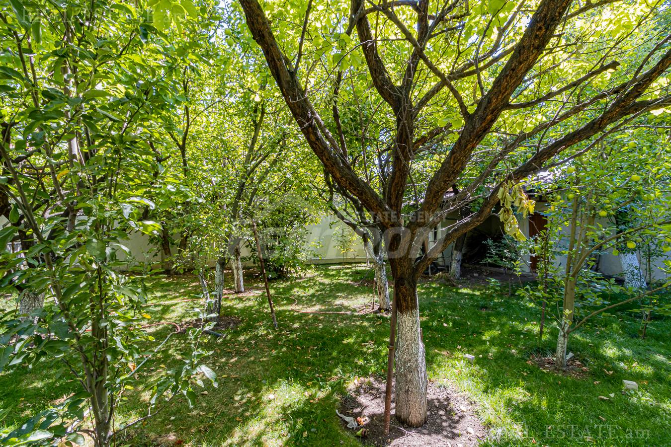 Снять коммерческoе помещение Арабкир 43ый ул, Арабкир Ереван, 139840