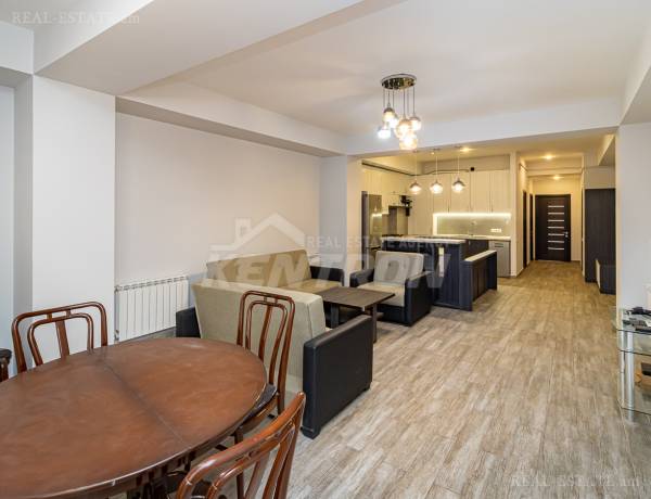 3-senyakanoc-bnakaran-vardzakalutyun-Yerevan-Arabkir