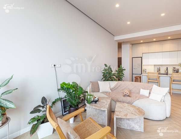 3-senyakanoc-bnakaran-vacharq-Yerevan-Arabkir