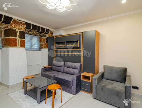 1-senyakanoc-bnakaran-vardzakalutyun-Yerevan-Center