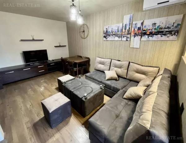 2-senyakanoc-bnakaran-vardzakalutyun-Yerevan-Center