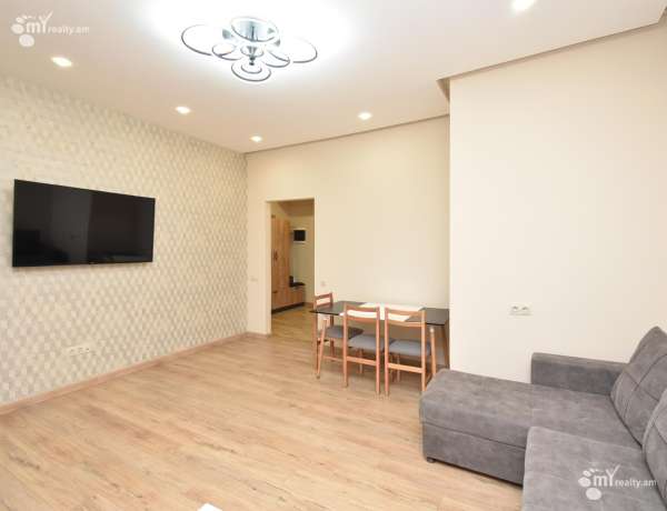 3-senyakanoc-bnakaran-vardzakalutyun-Yerevan-Arabkir