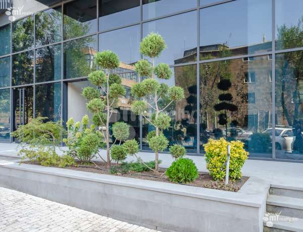 2-senyakanoc-bnakaran-vacharq-Yerevan-Arabkir