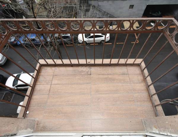 2-senyakanoc-bnakaran-vardzakalutyun-Yerevan-Center