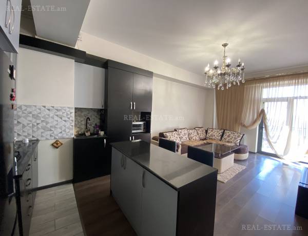 2-senyakanoc-bnakaran-vardzakalutyun-Yerevan-Davtashen