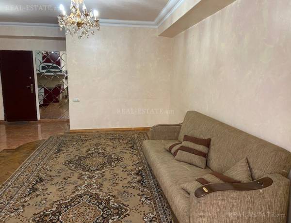 2-senyakanoc-bnakaran-vardzakalutyun-Yerevan-Center