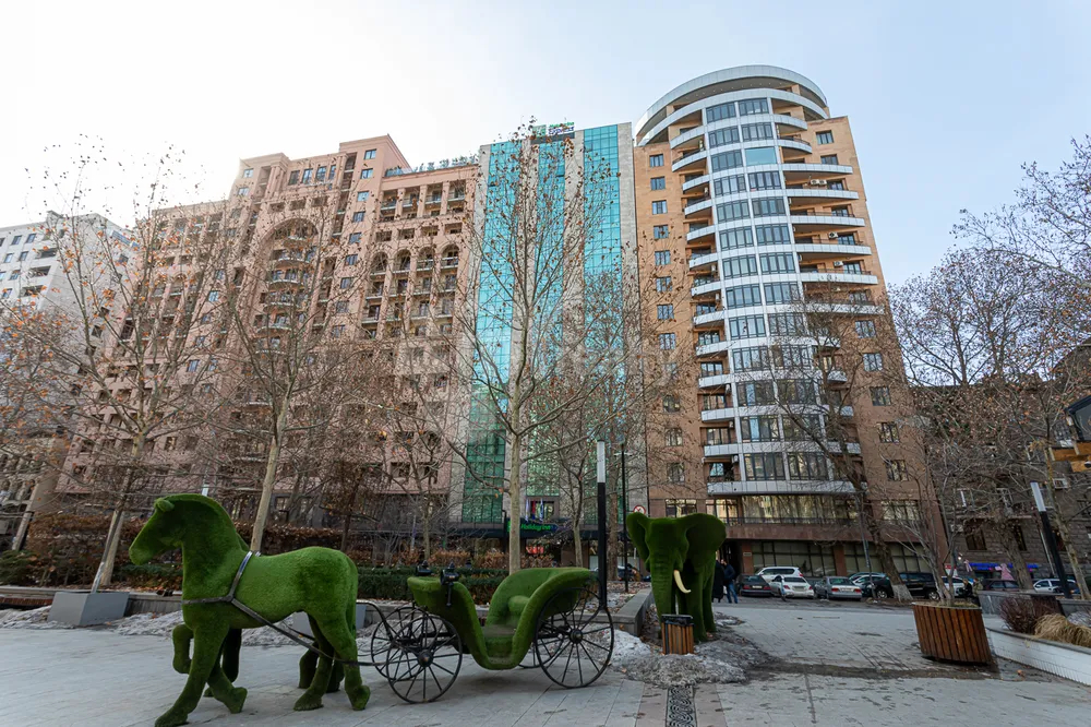 norakaruyc-bnakaran/2-senyakanoc/Buzand+St/Center/Yerevan