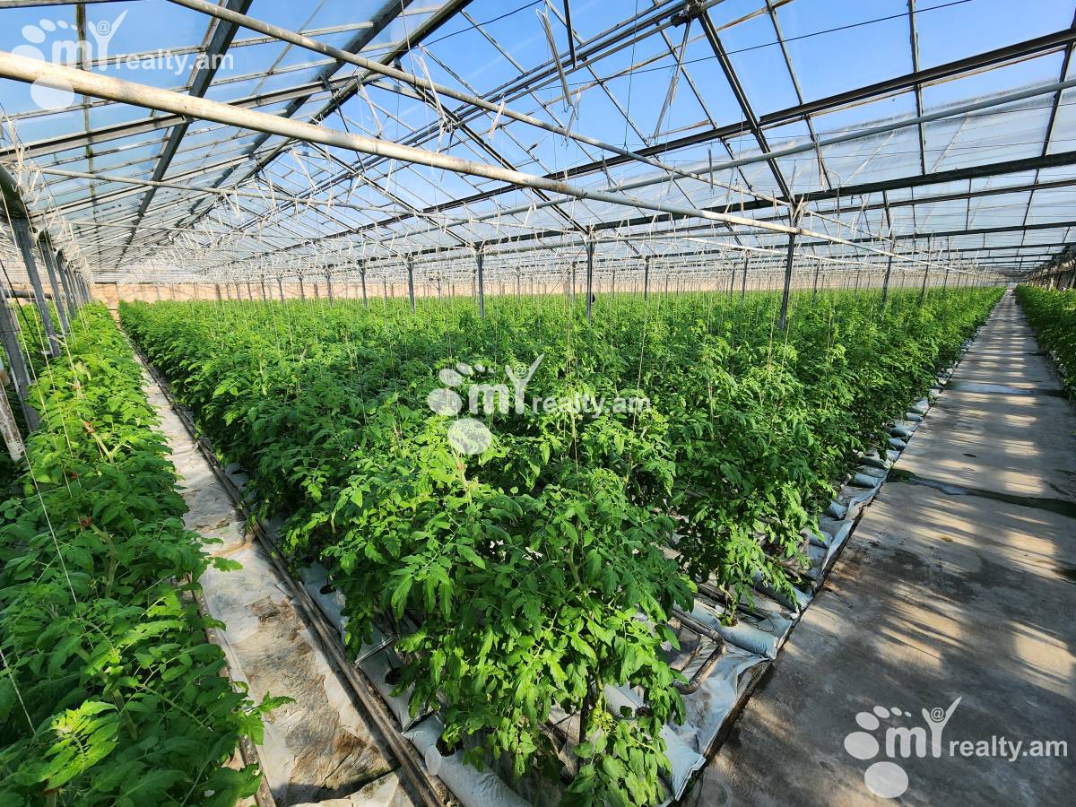 Land for sale Aramus, Aramus Kotayk, 158581