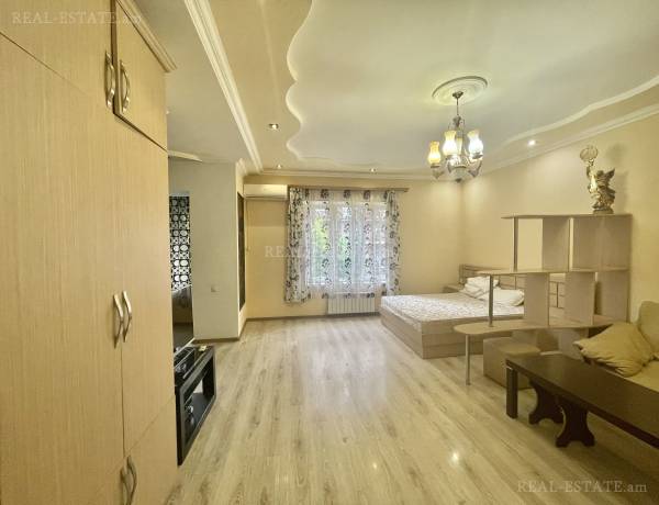 1-senyakanoc-bnakaran-vardzakalutyun-Yerevan-Center