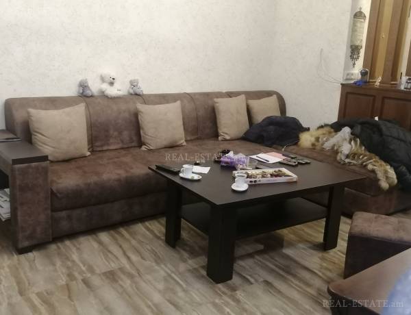 3-senyakanoc-bnakaran-vacharq-Yerevan-Erebuni