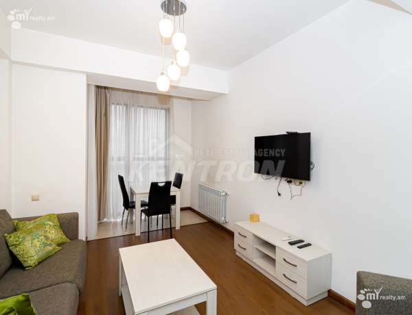 2-senyakanoc-bnakaran-vardzakalutyun-Yerevan-Center