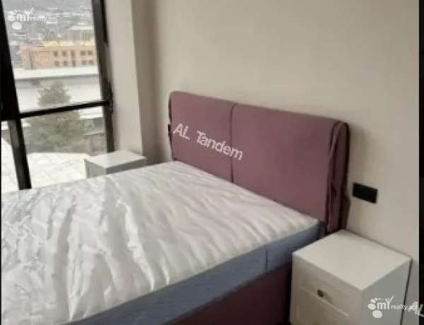 2-senyakanoc-bnakaran-vardzakalutyun-Yerevan-Center