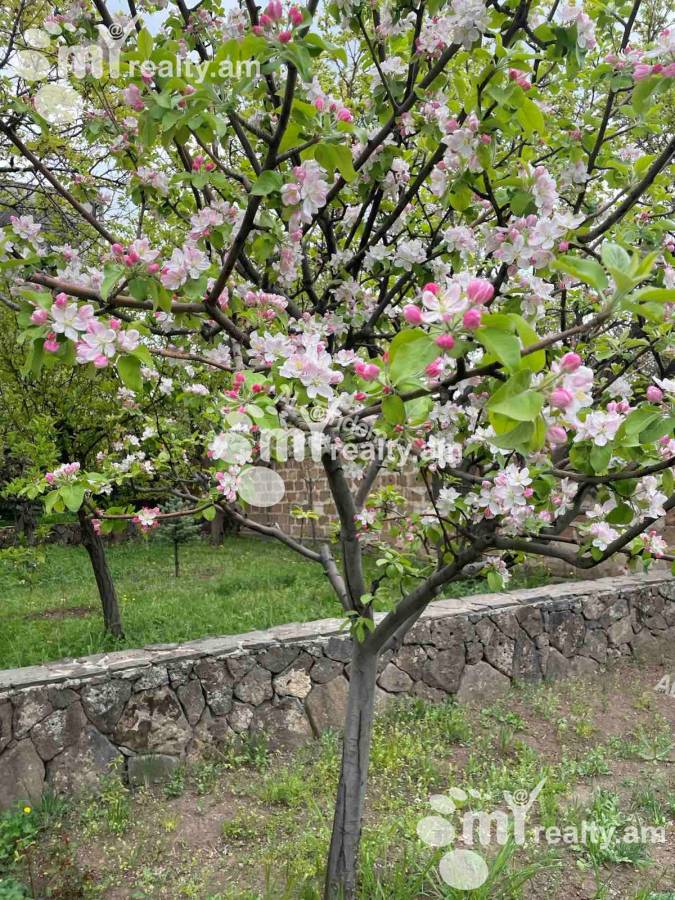 House for sale Village of Dzoraghbyur, دزرقبیور کوتایک, 143469