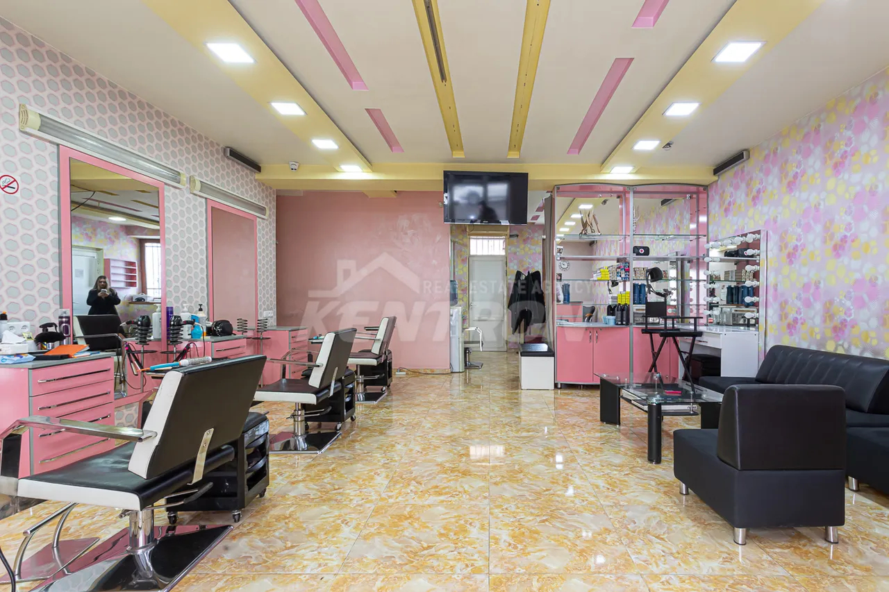 Commercial property for sale K. Ulnetsi St, Quanaquère-Zeytoun Yerevan, 159445