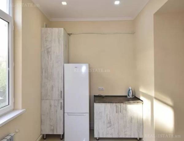 3-senyakanoc-bnakaran-vardzakalutyun-Yerevan-Center