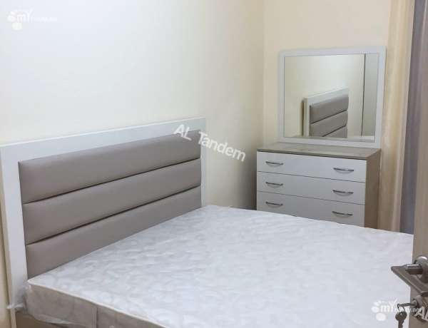 2-senyakanoc-bnakaran-vardzakalutyun-Yerevan-Arabkir