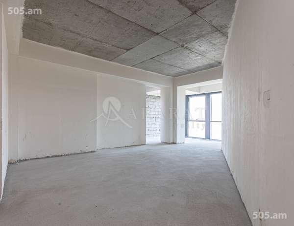 2-senyakanoc-bnakaran-vacharq-Yerevan-Arabkir