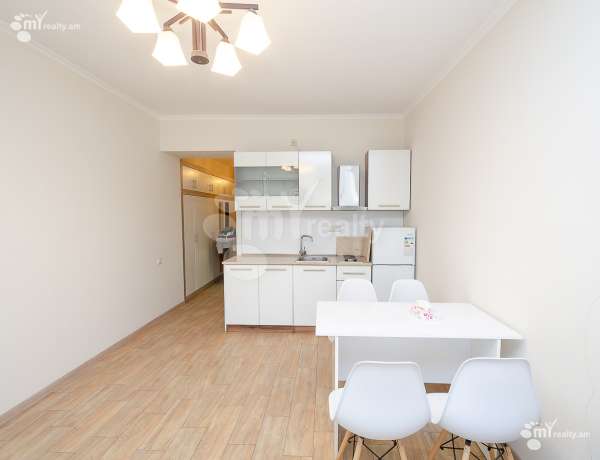 2-senyakanoc-bnakaran-vardzakalutyun-Yerevan-Center