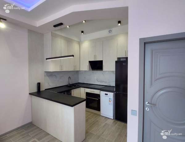 2-senyakanoc-bnakaran-vardzakalutyun-Yerevan-Center