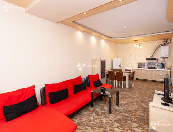 2-senyakanoc-bnakaran-vardzakalutyun-Yerevan-Center