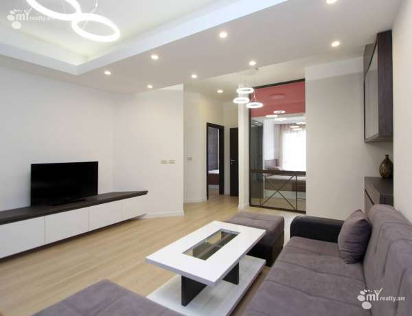 3-senyakanoc-bnakaran-vardzakalutyun-Yerevan-Center