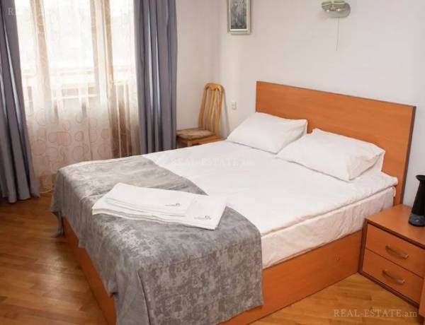 3-senyakanoc-bnakaran-vardzakalutyun-Yerevan-Center