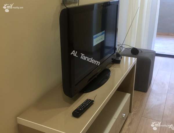 2-senyakanoc-bnakaran-vardzakalutyun-Yerevan-Arabkir