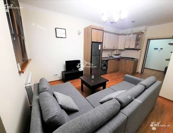 3-senyakanoc-bnakaran-vardzakalutyun-Yerevan-Arabkir