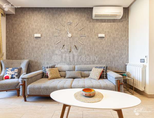 3-senyakanoc-bnakaran-vardzakalutyun-Yerevan-Center