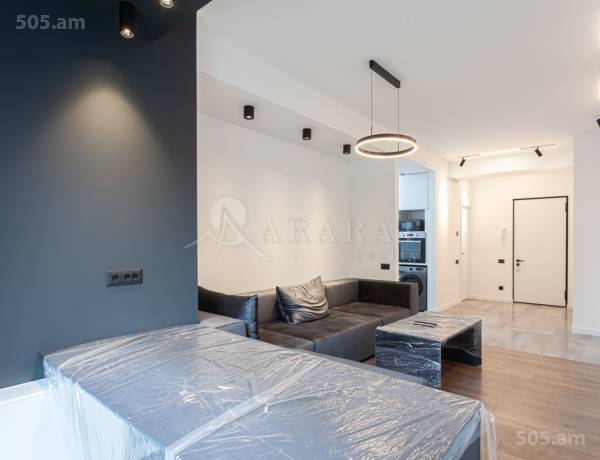 2-senyakanoc-bnakaran-vacharq-Yerevan-Arabkir