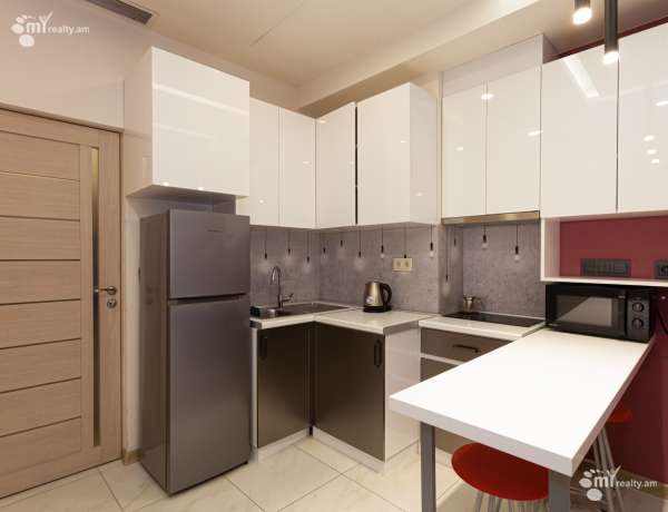 2-senyakanoc-bnakaran-vardzakalutyun-Yerevan-Center