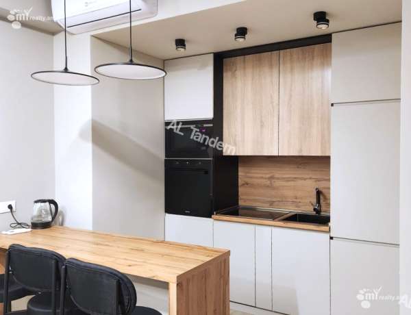 3-senyakanoc-bnakaran-vardzakalutyun-Yerevan-Center