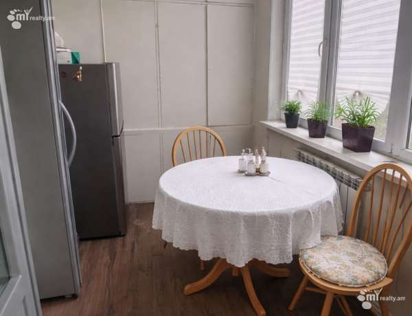 2-senyakanoc-bnakaran-vardzakalutyun-Yerevan-Center